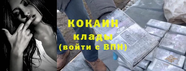 ГАЛЛЮЦИНОГЕННЫЕ ГРИБЫ Осинники