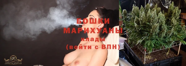 PSILOCYBIN Белая Холуница