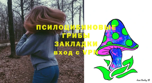 прущий лед Абаза