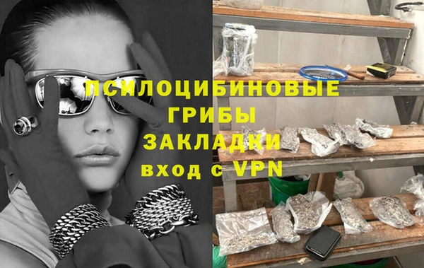 ГАЛЛЮЦИНОГЕННЫЕ ГРИБЫ Осинники