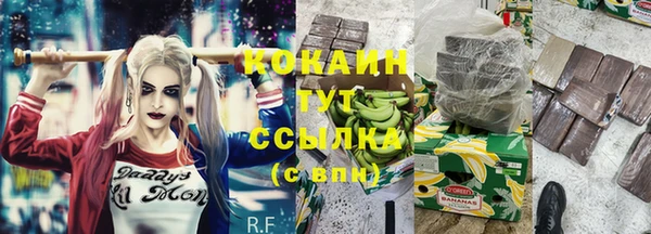 ГАЛЛЮЦИНОГЕННЫЕ ГРИБЫ Осинники